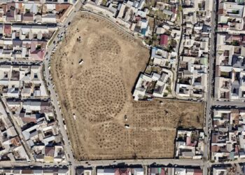 Ошто мурдагы көрүстөндүн ордуна 1300 көчөт отургузулду