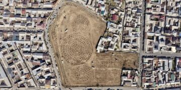 Ошто мурдагы көрүстөндүн ордуна 1300 көчөт отургузулду