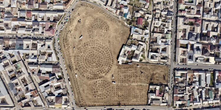 Ошто мурдагы көрүстөндүн ордуна 1300 көчөт отургузулду