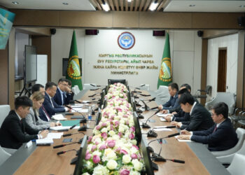 Минкаб төрагасынын орун басары Кытай-Кыргызстан-Өзбекстан темир жол долбоорун ишке ашыруу боюнча жолугушуу өткөрдү