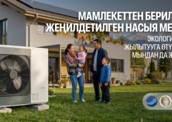 Экологиялык таза жылытуу системаларына өтүү үчүн мамлекеттик жеңилдетилген насыялар жеткиликтүү