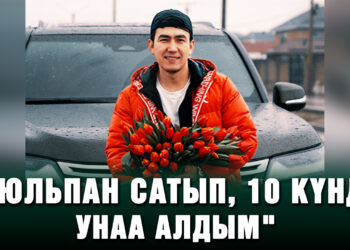 «Тюльпан сатып, 10 күндө унаа алдым»