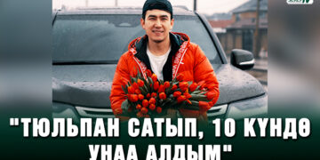 «Тюльпан сатып, 10 күндө унаа алдым»