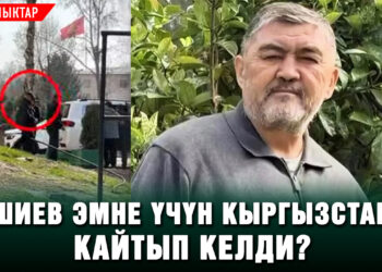 Ташиев эмне үчүн Кыргызстанга кайтып келди? | Жаңылыктар