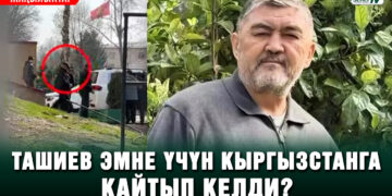 Ташиев эмне үчүн Кыргызстанга кайтып келди? | Жаңылыктар