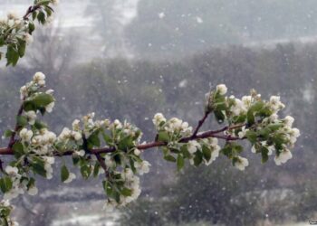 Шашылыш билдирүү: 10-11-марттарда өлкөдө суук түшөт