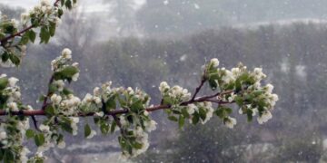 Шашылыш билдирүү: 10-11-марттарда өлкөдө суук түшөт