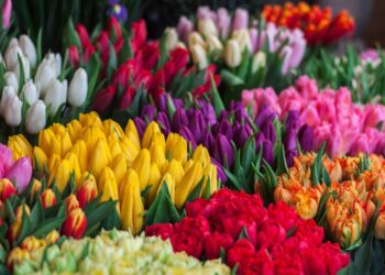 Даанасы 75 сомдон башталат. Бишкекте жоогазын фестивалы башталды