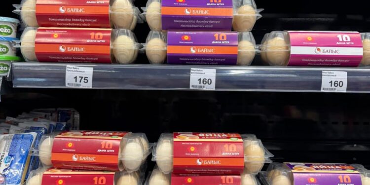 Жумуртка эмне үчүн кымбаттап жатат? Министрликтин түшүндүрмөсү