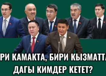 25 күндө 7 депутат кетти