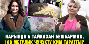 Нарында 5 тайказан бешбармак, 100 метрлик чучукту ким таратты?