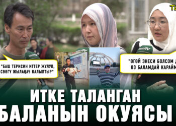 Итке таланган баланын окуясы. “Балам 2,5 жашында апасынан калган”