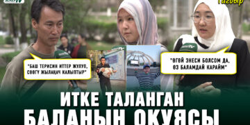 Итке таланган баланын окуясы. “Балам 2,5 жашында апасынан калган”