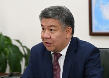 Алмамбет Шыкмаматов: «Салыкчыны опузачы катары көрбөшүбүз керек»