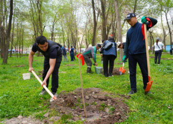 Бишкекте 740 жаңы дарак отургузулду