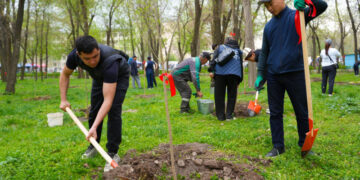 Бишкекте 740 жаңы дарак отургузулду