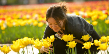 Бишкек 230 миңден ашуун жоогазынга бөлөндү