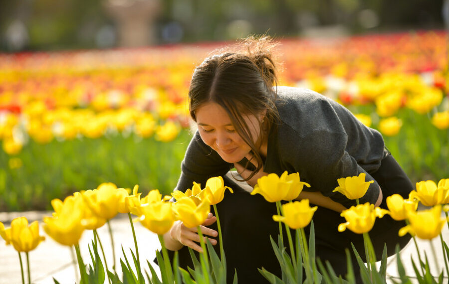 Бишкек 230 миңден ашуун жоогазынга бөлөндү