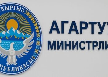 Сузактагы мугалимдин окуучуга кол көтөрүшү. Министрликтен мугалимдин кызматтан бошотулганын билдиришти