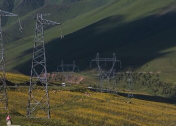 Тариф маселеси талаш жаратты: ишкерлер укуктарын коргоону талап кылууда