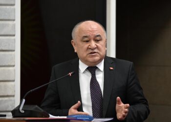 Тармактык комитет Германиядагы элчиликтин ишмердүүлүгү тууралуу маалыматын укту