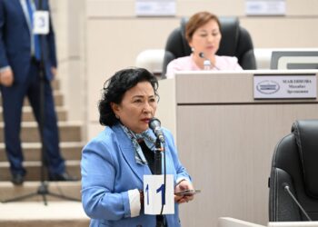 Депутат Талиева: «“Үй-бүлөлүк көйгөйлөр күчөп кетти»