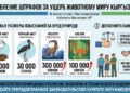 Кыргызстанда жаныбарлар дүйнөсүнө келтирилген зыян үчүн жоопкерчилик күчөтүлдү