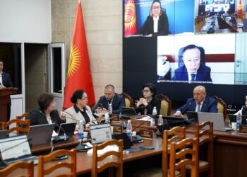 Депутаттардын «Баатыр энелердин» балдарына мамлекеттик билим берүүдөгү жеңилдиктерди берүү демилгеси колдоо тапты