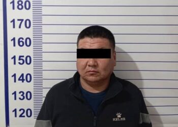 Чүй облусунда 5 жаштагы кызды сүзүп кетүүгө шектелген айдоочу кармалды