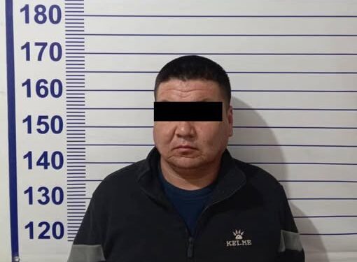 Чүй облусунда 5 жаштагы кызды сүзүп кетүүгө шектелген айдоочу кармалды