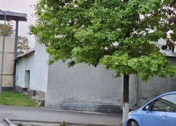 Мамлекеттик катчы: «Алымбек датканын уулу Камчыбектин үйүн музейге айлантуу керек»