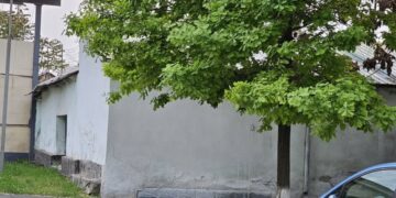 Мамлекеттик катчы: «Алымбек датканын уулу Камчыбектин үйүн музейге айлантуу керек»