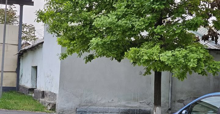 Мамлекеттик катчы: «Алымбек датканын уулу Камчыбектин үйүн музейге айлантуу керек»