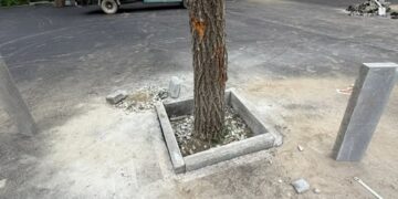 Бишкек мэриясы Ататүрк сейил багындагы асфальт төшөө иштери тууралуу маалымат берди