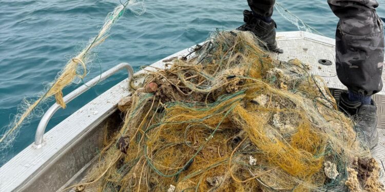 Министр Ысык-Көлдөн браконьерлик торлорду алып чыгууда