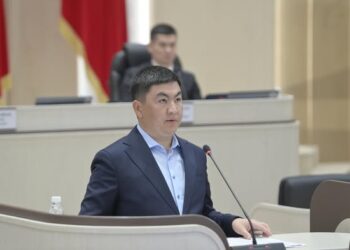 Депутаттардын «Баатыр энелердин» балдарына мамлекеттик билим берүүдөгү жеңилдиктерди берүү демилгеси колдоо тапты