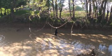 Кара-Суудагы каналга түшүп кеткен аял изделип жатат