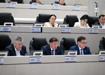 Кыргыз-Түрк “Манас” университети боюнча депутат Жумабеков дипломаттык түрдө чечүүнү талап кылды