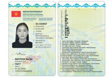 Депуттар айдоочулук күбөлүк жана жалпы жарандык паспорттордун даярдалышын көрүүгө барышты