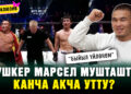 Эксклюзив! Мушкер Марсел мушташтан канча акча утту?