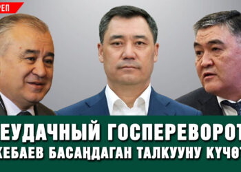 Ташиевдин бир тарапташы абактан чыгып, «Эду» менен «Вазелин» абакта калды #Күнсереп